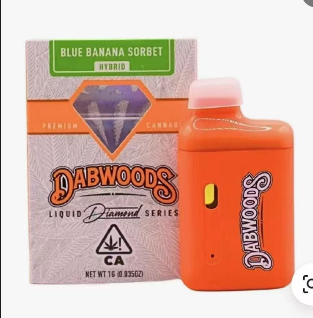 Newest Dabwoods Dabbar Classic 2.0 Distillate 1g 2g Disposable With Screen