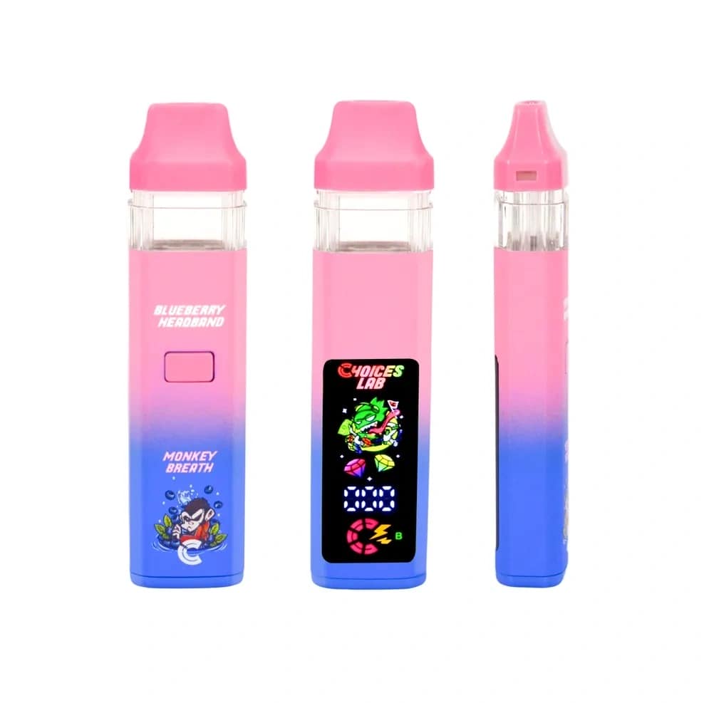 choices labs 2g dual flavor disposable vape – v2 rechargeable edition